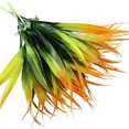 thumbnail image 4 of Zukuco 4pcs Artificial Fake Grass Plants Faux Fake Grasses Plastic Plant Greenery (Orange Green), 4 of 5