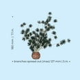 thumbnail image 4 of biOrb Black Bonsai Ball, 4 of 9