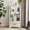 White, variant on Lighted Glass Curio Display Cabinet with Adjustable Glass Shelves 2 Doors and 1 drawer Cabinet Bulb Included,White