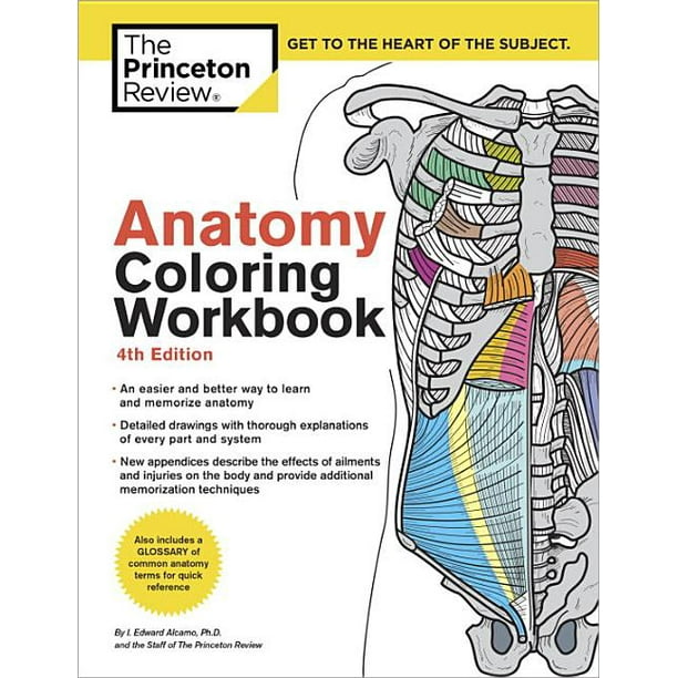 Coloring Workbooks: Anatomy Coloring Workbook, 4th Edition : An Easier and Better Way to Learn