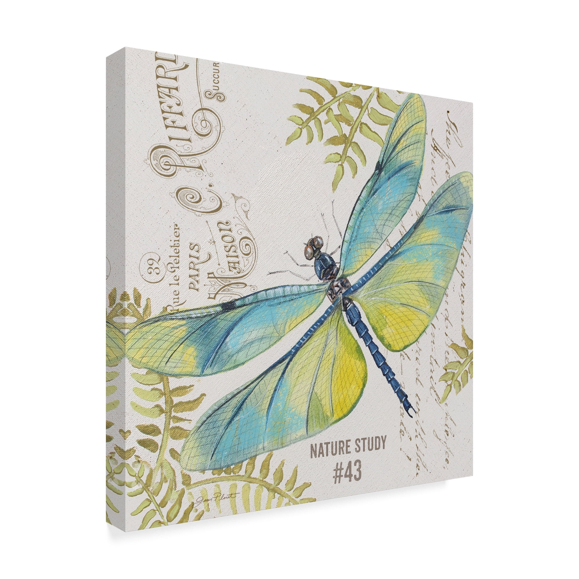 Trademark Fine Art 'Botanical Dragonfly 3' Canvas Art by Jean Plout