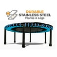 thumbnail image 4 of The Leaps & ReBounds Fitness Trampoline - Bungee Rebounder, 4 of 9