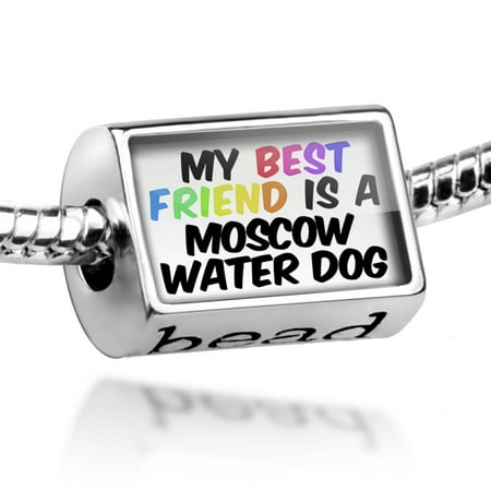 Bead My best Friend a Moscow Water Dog from Russia Charm Fits All European