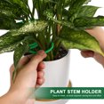 thumbnail image 3 of unbranded 4Ud Soporte Para Tallo De Planta Con Monstera Para Y Crecimiento Estable, 3 of 8