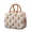 Citrus-15, variant on Bohemian Chic Lunch Bag - Vintage Floral Insulated Lunch Box, Waterproof & Portable (Rustic Home Decor)