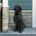 thumbnail image 1 of Angelo Décor 31.7-inch Max Lab Statue, 1 of 7