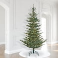 thumbnail image 4 of Vickerman 9' Alberta Blue Spruce Artificial Christmas Tree, Warm White Dura-lit LED Lights, 4 of 4
