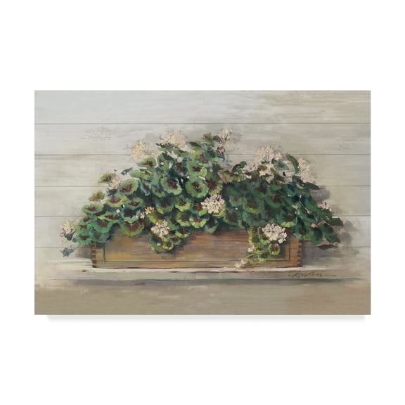 Trademark Fine Art 'Market Geraniums Crop' Canvas Art by Carol Rowan
