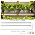 thumbnail image 4 of LED Grow Light Strips Indoor Plants Full Spectrum with Auto ON & Off Timer, 4 Level Dimmable Growing Light Bar 96 LEDs, 20W Sunlike Grow Lamp for Seedlings Hydroponics Garden, 4 of 8