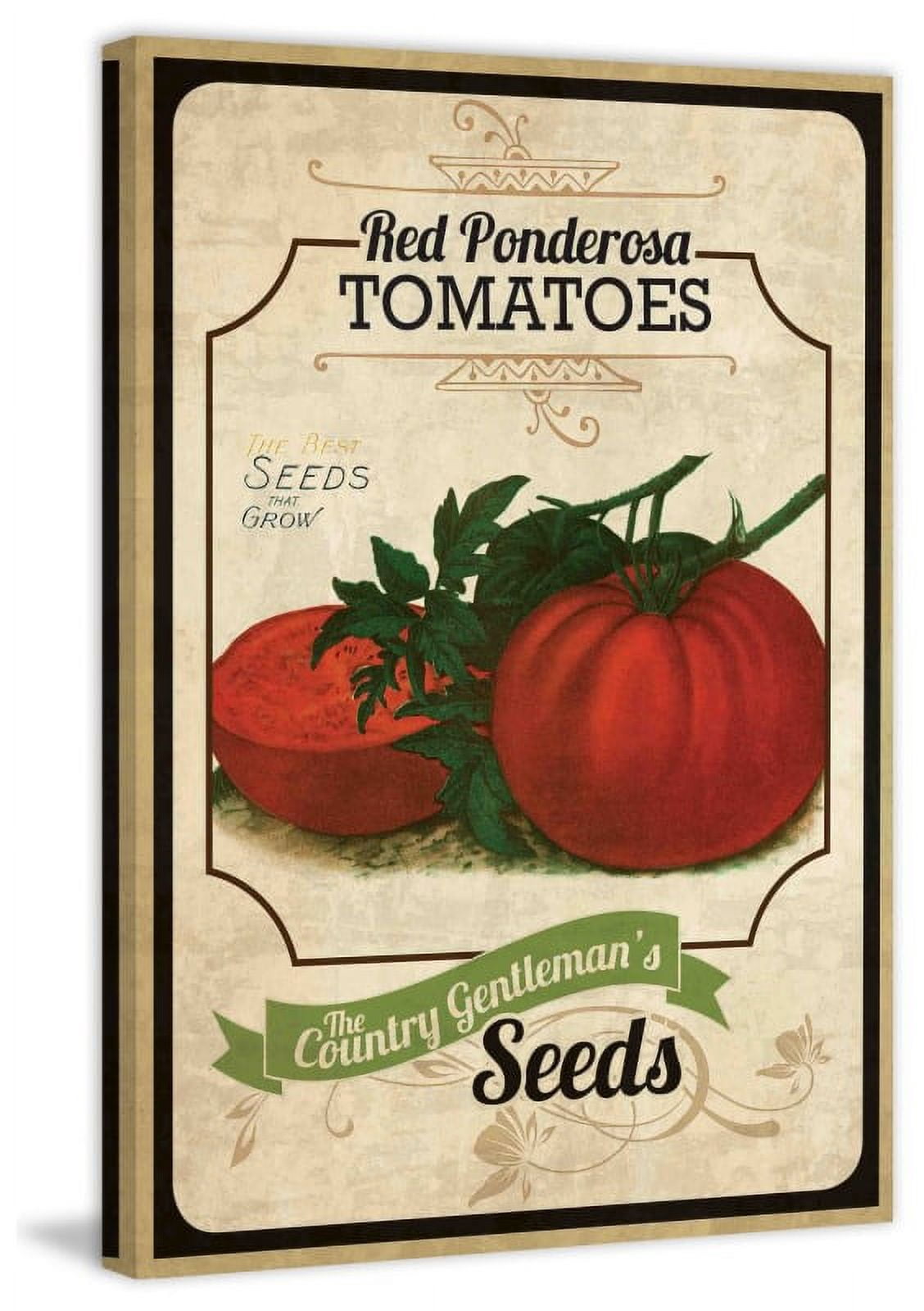 Marmont Hill "Seed Packet Tomato" Painting Print on Canvas