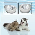 thumbnail image 5 of Delapan Cat Water Fountain Filters for 67oz/2L Pet Fountain D30 D60 Pump, 12 Pack Sponges, 5 of 6