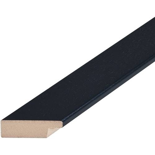 Trademark Fine Art "Winged Tapestry I" Canvas Art by Color Bakery Black Matte, Black Frame