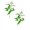 GreenB 2Packs, variant on Flocked Soft Velvet Texture For Wedding Photography Home Faux Floral Arrangement 2PCS,87 cm,Purple