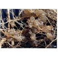 thumbnail image 5 of Soil Moist Granules de Sol 3 Oz JCD-012SM, 5 of 5