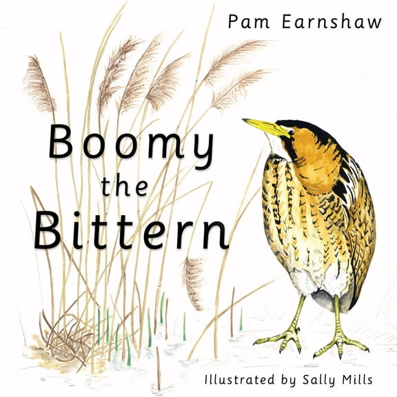 Boomy the Bittern, (Paperback)