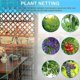 thumbnail image 4 of Plant Support Garden Netting Trellis Mesh,PE Trellis for Sweet Peas,1.8X3.6 Meters Pea Netting, 4 of 4