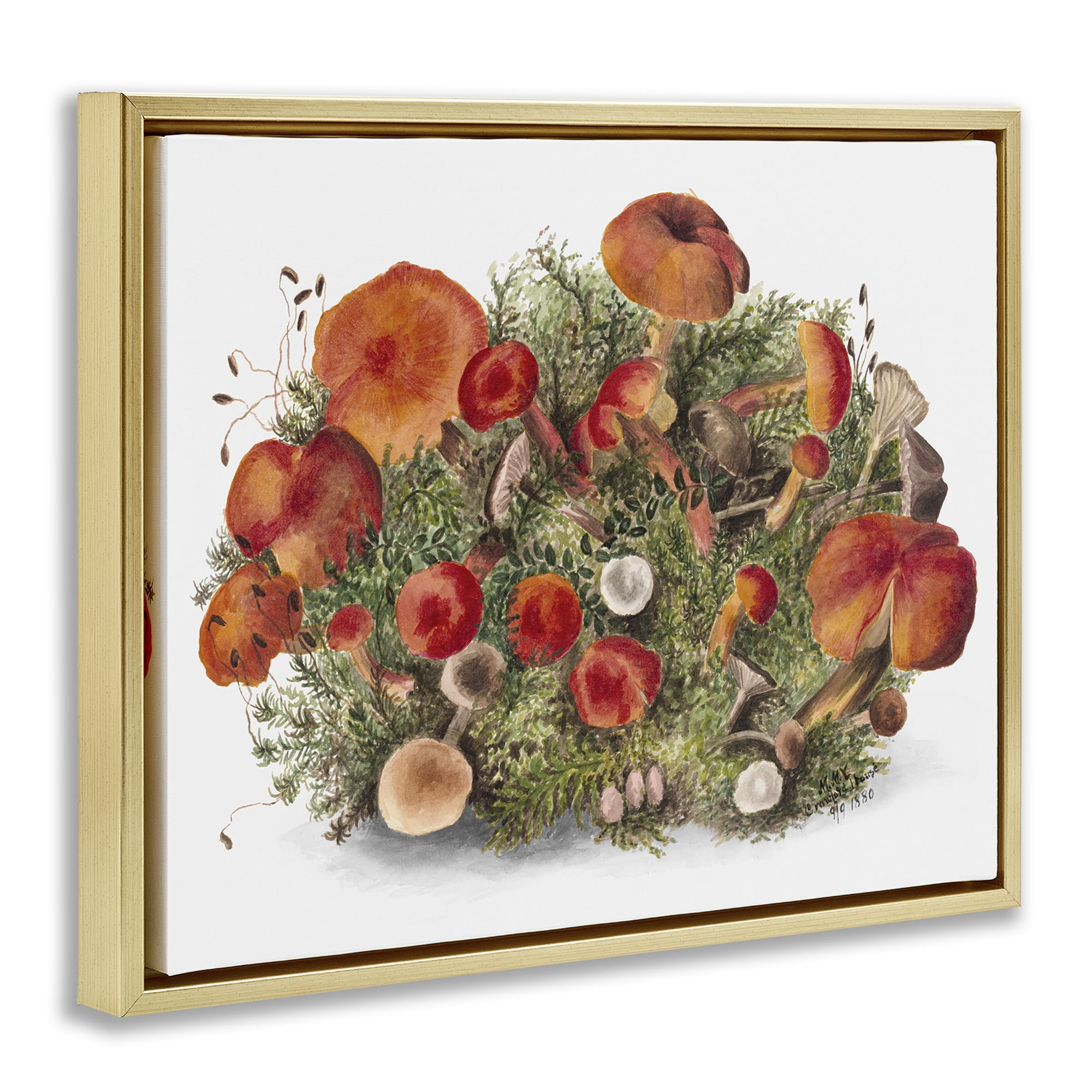 Stupell Industries Rustic Cottage Mushrooms Botanical & Floral Painting Gold Floater Framed Art Print Wall Art, 31 x 25