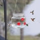 thumbnail image 4 of Jardín colgante portátil, comedor para colibrí, depósito claro 500ml, decoración para jardín, colibrí portátil, fácil de transportar, marco de metal resistente, para patio, colibrí para, 4 of 9