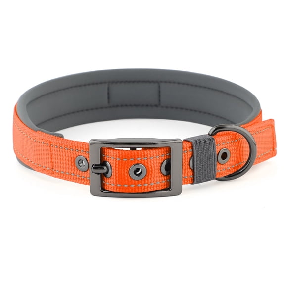 Neoprene Dog Collar – Reflective Comfortable Neck Collar for Small Medium Large Dogs orange / S