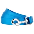 thumbnail image 2 of Country Brook Petz® 3/4 inch Nylon Dog Leash - Ice Blue, 6 Foot, 2 of 4
