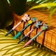thumbnail image 4 of Juego de bolígrafos Disney Stitch 4 bonitos para llevar un diario o ir a la escuela, 4 of 6