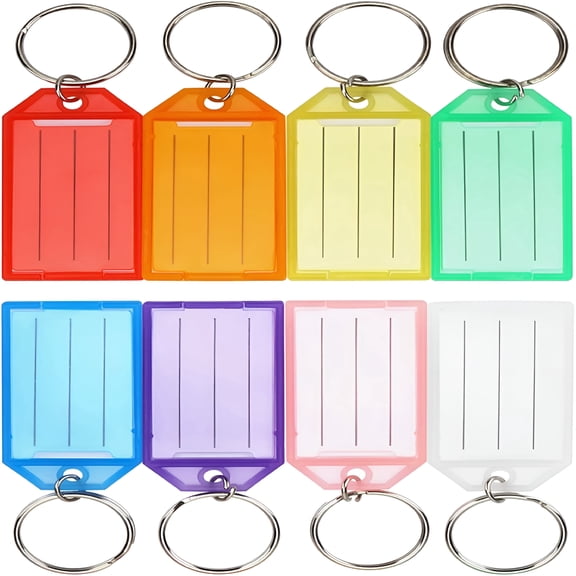 DESIGNICE 16 Pack Plastic Key Tags with Label Window and Rings, 8 Colors