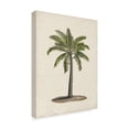 thumbnail image 2 of Trademark Fine Art 'British Palms I' Canvas Art by Naomi McCavitt, 2 of 4