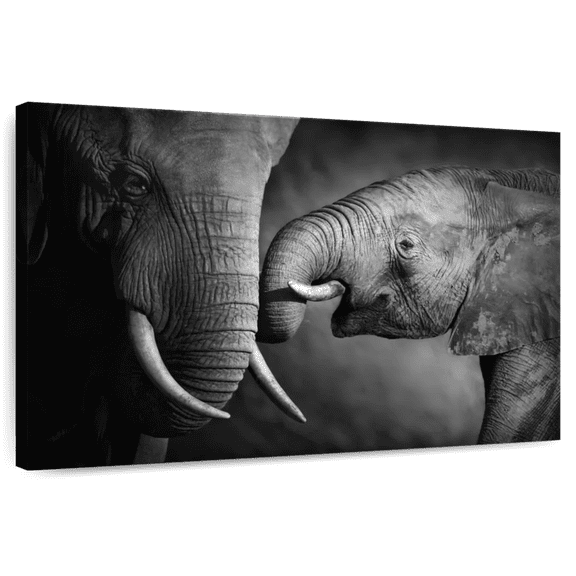 Elephant Stock Elephant Affection Wall Art - Horizontal Canvas Wall Art - Living Room Wall Decor - Animal Canvas - Black And Gray Decor - 12" x 8"