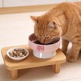 thumbnail image 7 of Pet Bowls Dog Bowls Cat Bowls Ceramic Elevated Neck Friendly Spill Proof Non Slip Easy Clean Food Water Treat Bowl for Cats Small Medium Dogs Indoor by PALIFEUR, 7 of 7