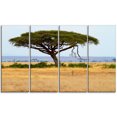 thumbnail image 2 of Acadia Tree and Cheetah in Africa - Oversized African Landscape Canvas Art, 2 of 3