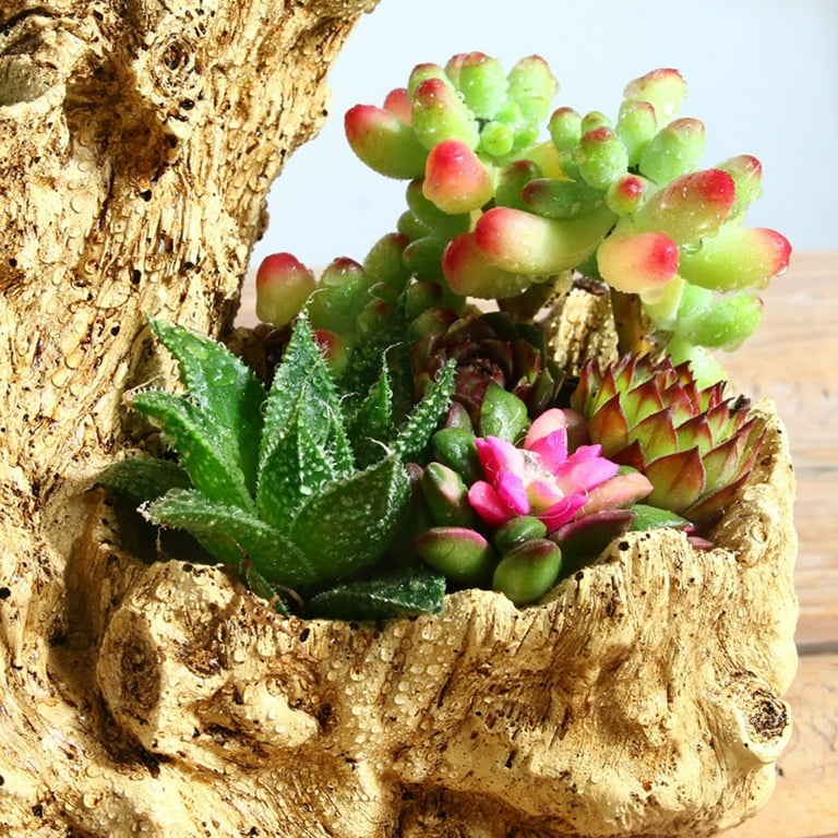 Driftwood Planter Faux Wood Resin Succulent Planter Vintage Artificial  Stump Log Like Container Pot for Home&Garden, Desktop Plant Container  Imitation Tree Root Flower Pot for Home Office Decor - Walmart.com