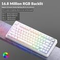 thumbnail image 4 of AULA F75 Pro Wireless Mechanical Keyboard with Knob,75% Hot Swappable Custom Gaming Keyboards,RGB Backlit,Pre-lubed Switches,Side Printed PBT Keycaps, 4 of 8