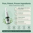 thumbnail image 2 of Spray de NAD+ Bulk Essentials 10 mg, 100 pulverizaciones, fabricado en EE. UU., 2 of 9