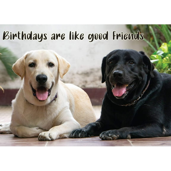 Glory To Dog Birthdays Are Like Good Friends Labrador Retriever Birthday Greeting Card with Mailing Envelope