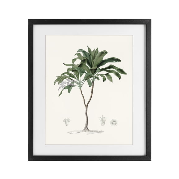 Stupell Industries Bohemian Coastal Palms Vintage Black Framed Print Under Glass, 13 x 16, by Val Rhodes