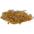 thumbnail image 2 of Imperial Cat 4 oz Oat Plant Seeds. Easy Growing, 2 of 3