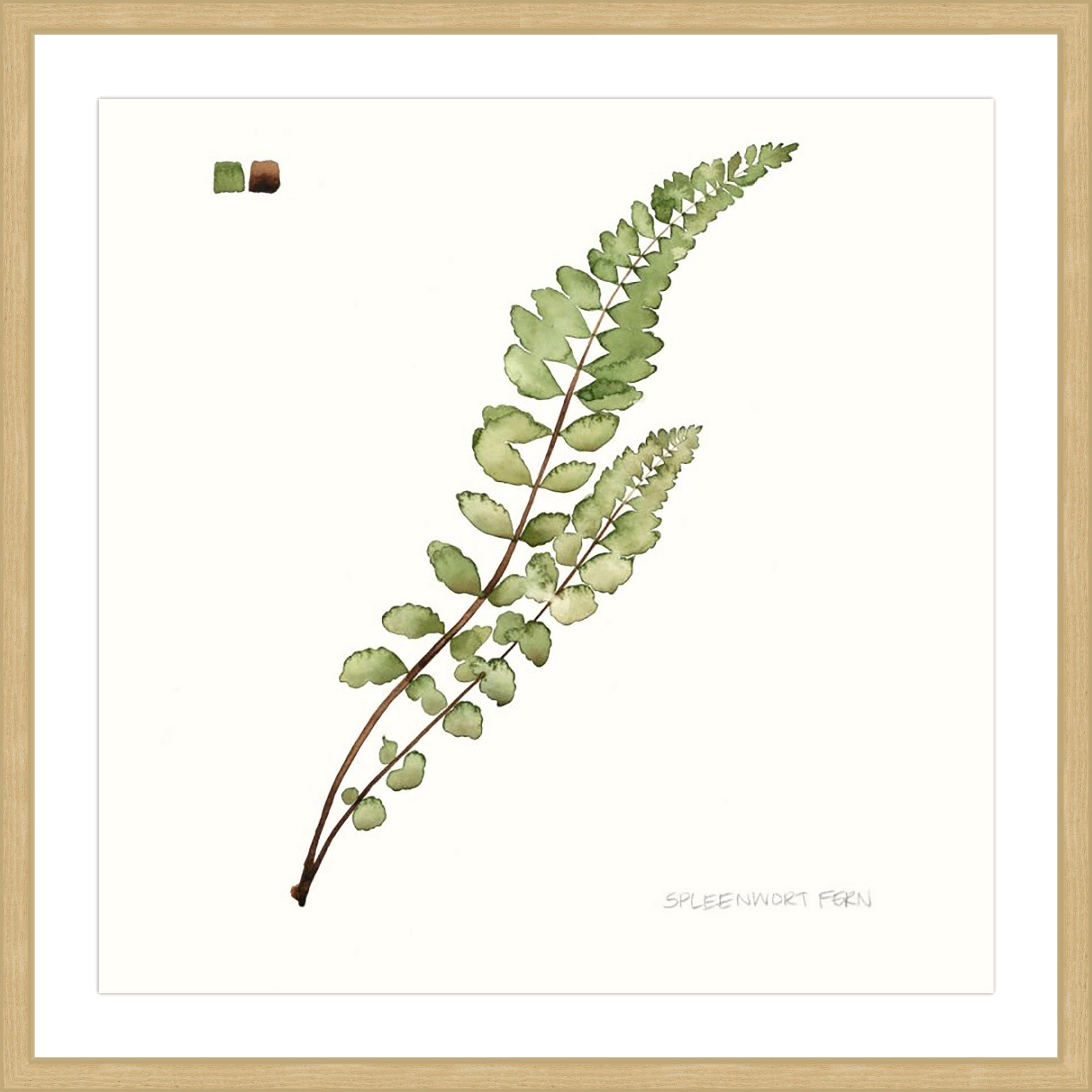 Marmont Hill "Leaf Study I" Framed Painting Print