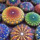 thumbnail image 2 of Mandala Dotting Stencil Tools Kit de Pintura de Ball Stylus Dotting Tools Incluye Plantilla, Bandeja de Pintura (Paquete de 34), 2 of 7
