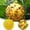Yellow, variant on Hanging Yellow Sticky Trap for Garden and Indoor Use – and Catcher for Home and Outdoor Spaces