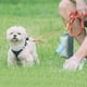 thumbnail image 3 of Dispensador Portátil De Bolsas Para Recoger Los Excrementos De Perro Con Bolsas Para Facilitar La Limpieza, 3 of 3