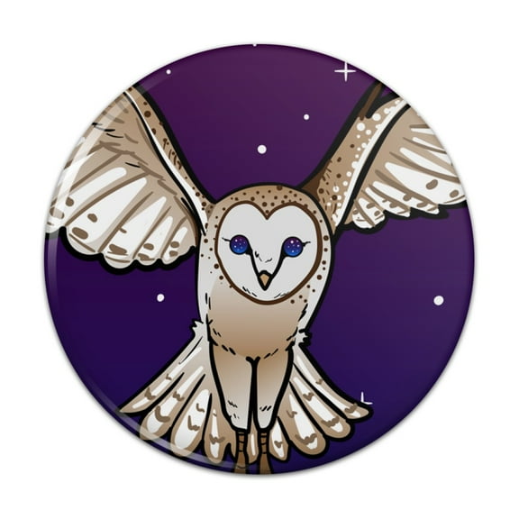 Barn Owl Flying in Night Sky Pinback Button Pin