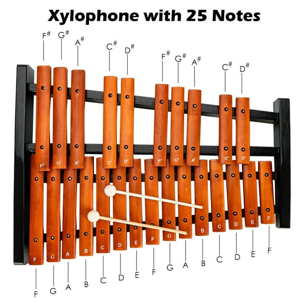 25 Note Xylophone with Case for Beginners Preschool Adult Percussion