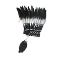 thumbnail image 2 of Jefe American Indian Native Feather Feather Men Women Headband For Dance Show Negro, 2 of 9