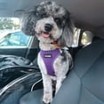 thumbnail image 6 of Voyager Step-In Air All Weather Mesh Harness & Reflective Dog Leash Combo w/ Neoprene Handle 5ft , For Small to Large Breed Dogs Cute & Heavy Duty, Best Pet Supplies- Purple Purple Trim, XL, 6 of 10