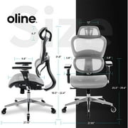 Oline ErgoPro Ergonomic Office Chair w/ Reclining Backrest & Wheels, Gray