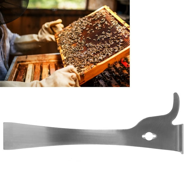 Eléments & accessoires de ruches : Grattoir pour grille à reine