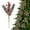 Red, variant on Lttoisl Artificial Pine Needle & Berry Bundle, 12-inch Festive Holiday Decor, for Christmas Tree and Table Centerpiece