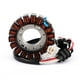 thumbnail image 1 of Generador Estator Fit para Yamaha YZF-R15 YZF-R125 MT-125 14-19 WR125 R/X 09-14, 1 of 10