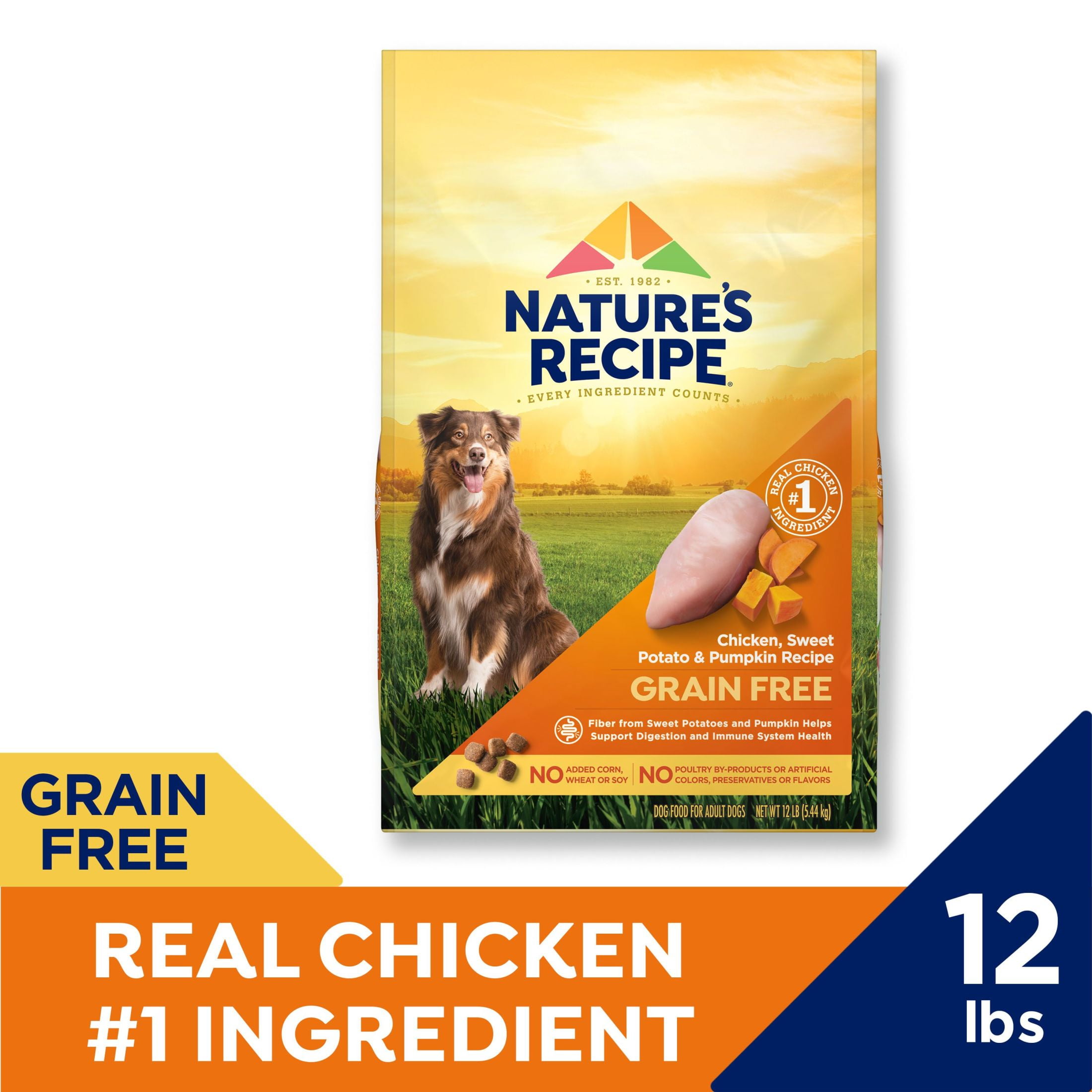 Nature s Recipe Grain Free Chicken Sweet Potato Pumpkin Recipe Dry Dog Food 24 lb. Bag Walmart