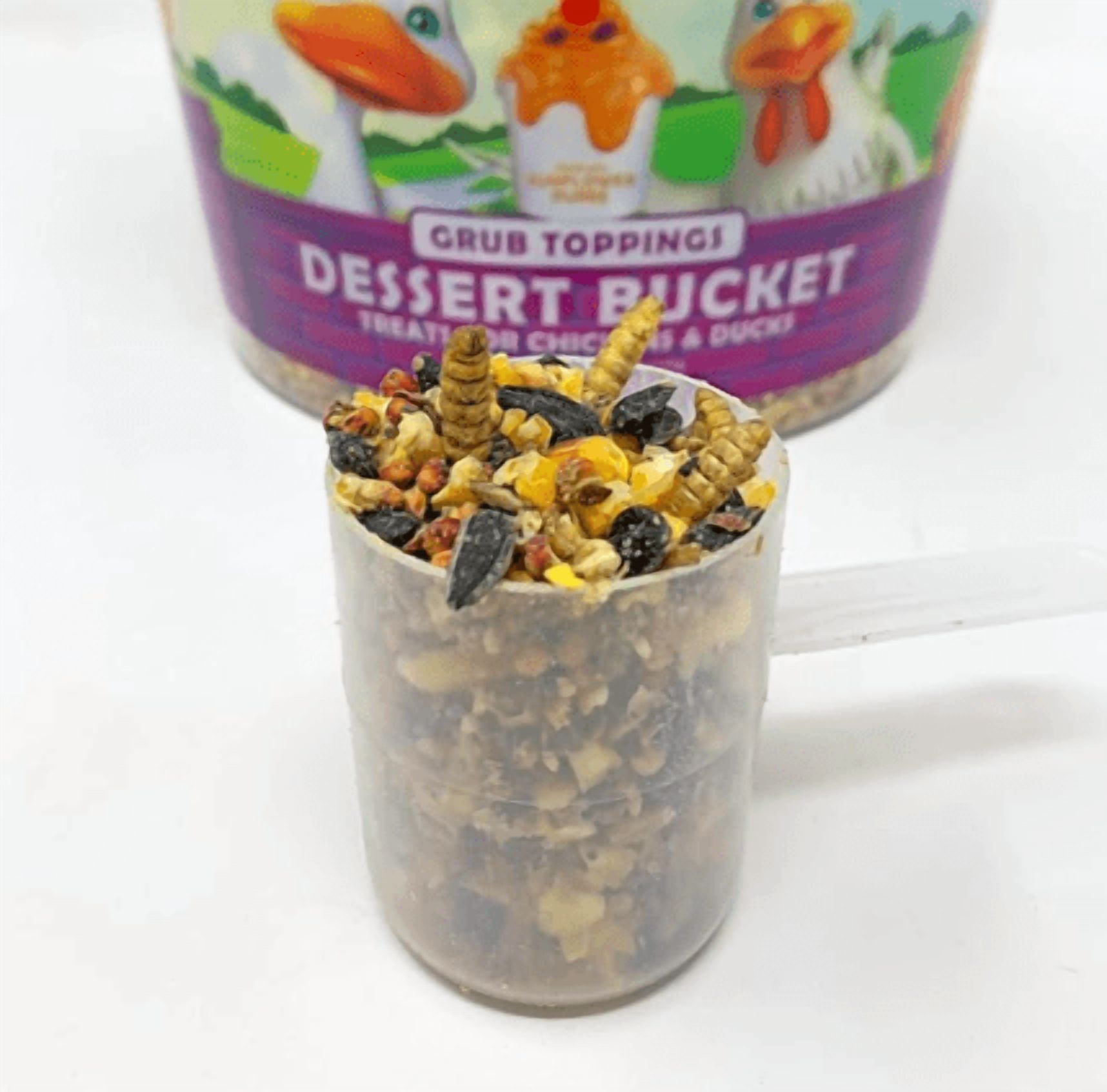 DESSERT BUCKET 5LBS
